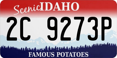 ID license plate 2C9273P