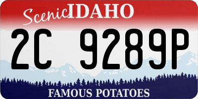 ID license plate 2C9289P