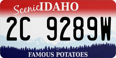ID license plate 2C9289W