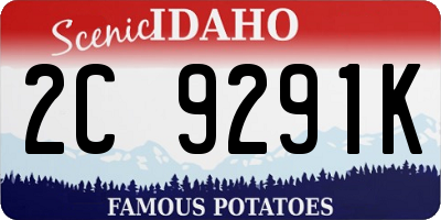 ID license plate 2C9291K