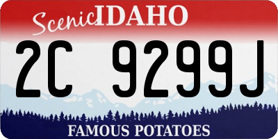 ID license plate 2C9299J