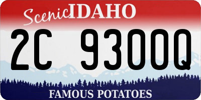 ID license plate 2C9300Q