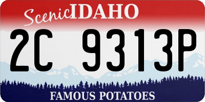 ID license plate 2C9313P