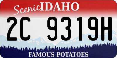 ID license plate 2C9319H