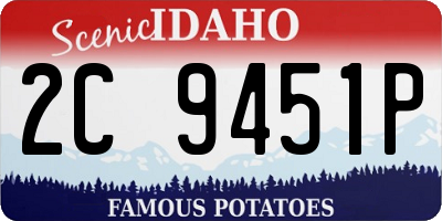 ID license plate 2C9451P