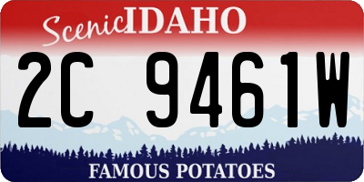ID license plate 2C9461W