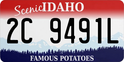 ID license plate 2C9491L