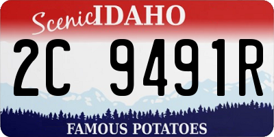 ID license plate 2C9491R