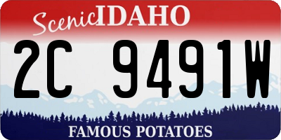 ID license plate 2C9491W
