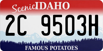 ID license plate 2C9503H