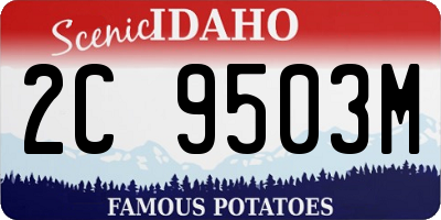 ID license plate 2C9503M
