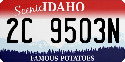 ID license plate 2C9503N