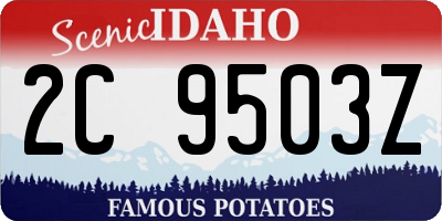 ID license plate 2C9503Z