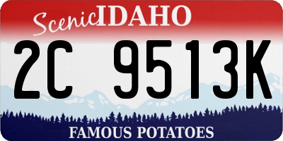 ID license plate 2C9513K