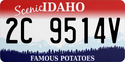 ID license plate 2C9514V