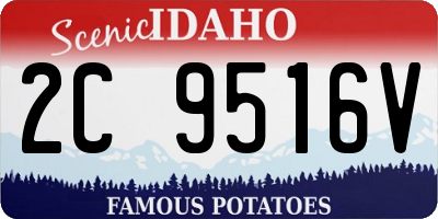ID license plate 2C9516V