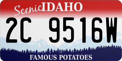 ID license plate 2C9516W
