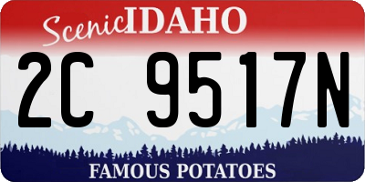 ID license plate 2C9517N