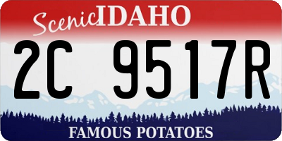 ID license plate 2C9517R