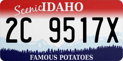 ID license plate 2C9517X