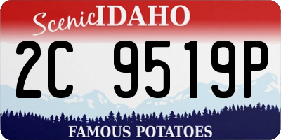 ID license plate 2C9519P