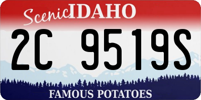 ID license plate 2C9519S