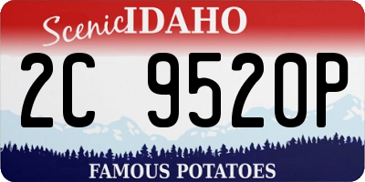 ID license plate 2C9520P