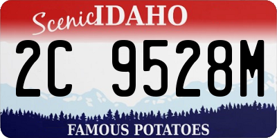 ID license plate 2C9528M