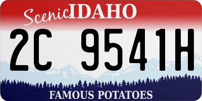 ID license plate 2C9541H