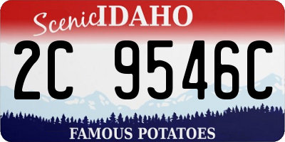ID license plate 2C9546C