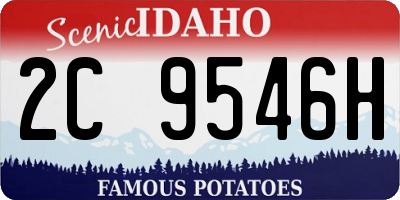 ID license plate 2C9546H