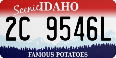 ID license plate 2C9546L