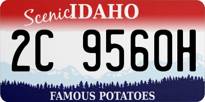 ID license plate 2C9560H