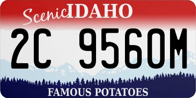 ID license plate 2C9560M