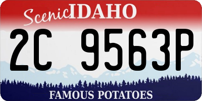 ID license plate 2C9563P