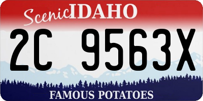 ID license plate 2C9563X