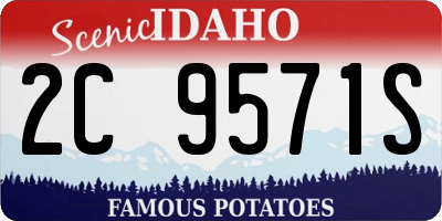 ID license plate 2C9571S