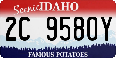 ID license plate 2C9580Y
