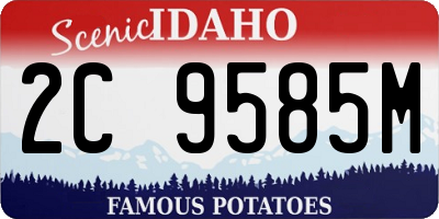 ID license plate 2C9585M