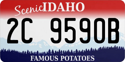 ID license plate 2C9590B