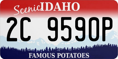 ID license plate 2C9590P