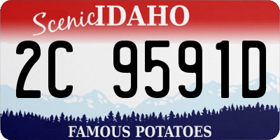 ID license plate 2C9591D