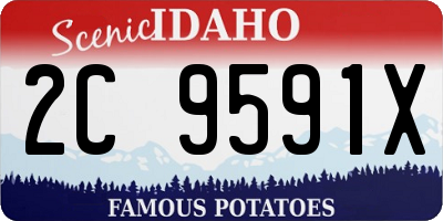 ID license plate 2C9591X