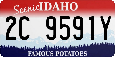 ID license plate 2C9591Y