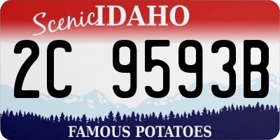 ID license plate 2C9593B