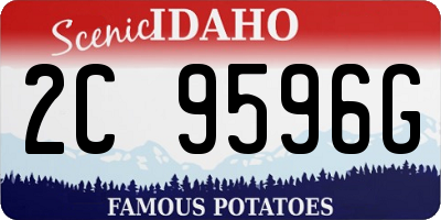 ID license plate 2C9596G