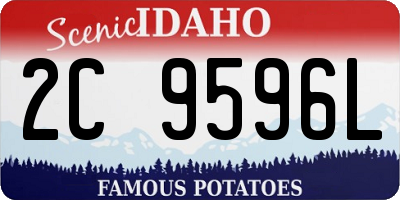 ID license plate 2C9596L
