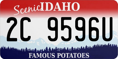 ID license plate 2C9596U