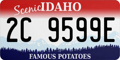 ID license plate 2C9599E