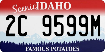 ID license plate 2C9599M